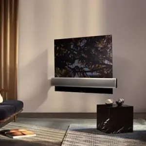 BeoVision Eclipse 65″ 1.gen. Brugt