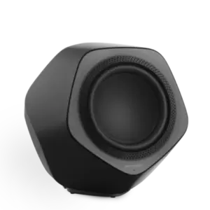 BeoLab 19 Subwoofer - BRUGT i butik