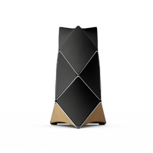 BeoLab 90 (sætpris)