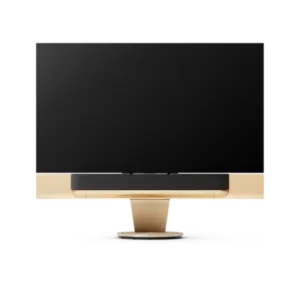 Beovision Theatre TV 77″