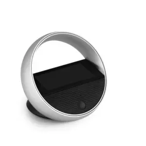 BeoRemote Halo  - Brugt i butik