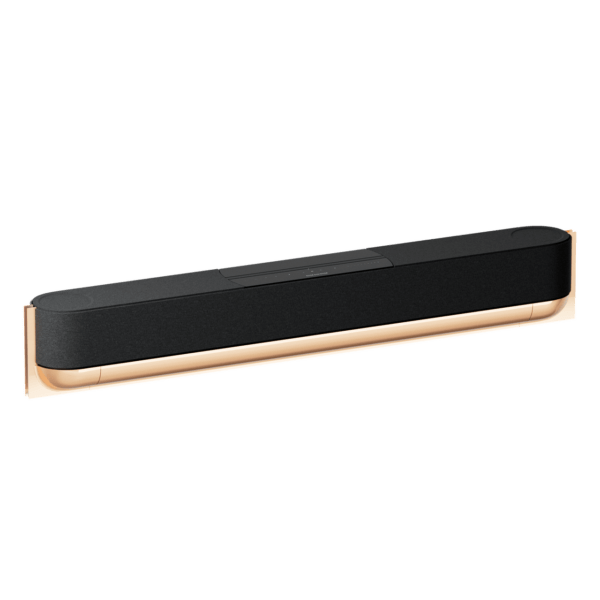 Beosound Theatre 55" Brugt i butik